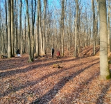 Descoperire arheologică într-o pădure din comuna Plopu: depozite de arme și unelte agricole medievale