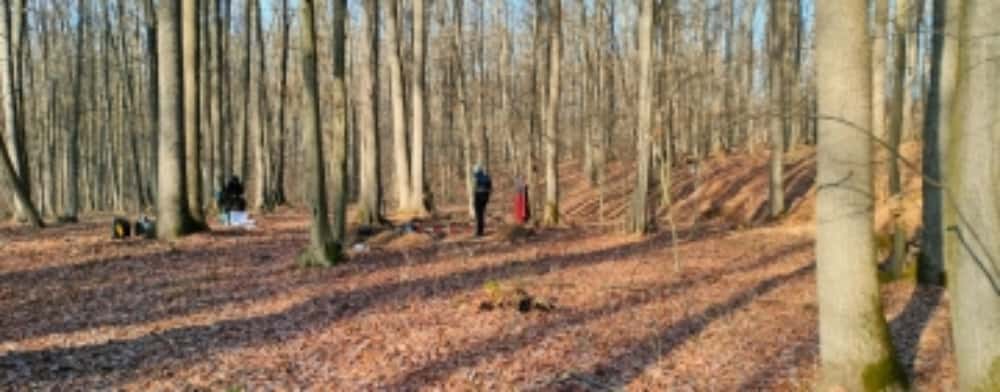 Descoperire arheologică într-o pădure din comuna Plopu: depozite de arme și unelte agricole medievale