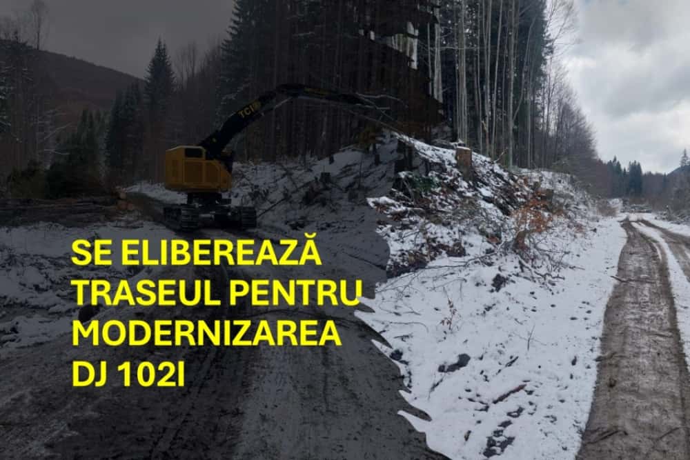 Terenurile expropriate pentru modernizarea DJ 102I, eliberate de masa lemnoasă. Demararea lucrărilor, tot mai aproape!