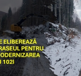 Terenurile expropriate pentru modernizarea DJ 102I, eliberate de masa lemnoasă. Demararea lucrărilor, tot mai aproape!