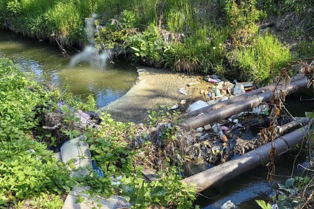 Pârâul Dâmbu - clăbuci și covoare aruncate după ”curățenia” de Paște