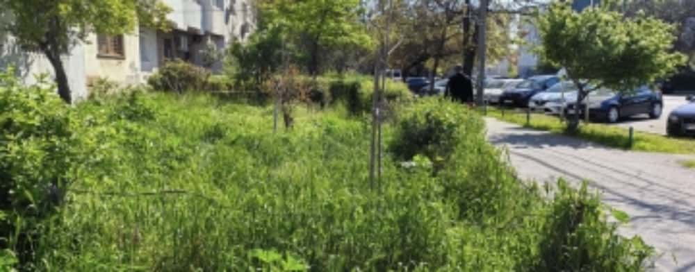 UPDATE/ Bălăriile au invadat cartierul ploieștean Mihai Bravu!