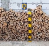 Prahoveni cercetați pentru tăiere și furt de arbori din zona Ariceștii Zeletin