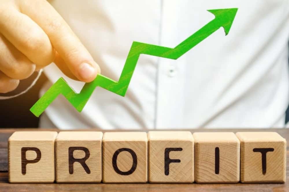 O firmă din Prahova, în topul intermediar al companiilor cu cele mai mari profituri în 2024!