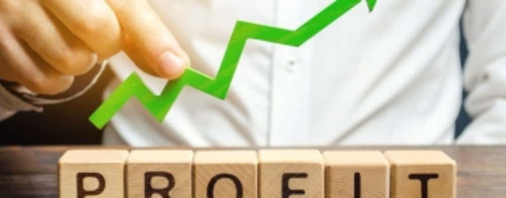 O firmă din Prahova, în topul intermediar al companiilor cu cele mai mari profituri în 2024!