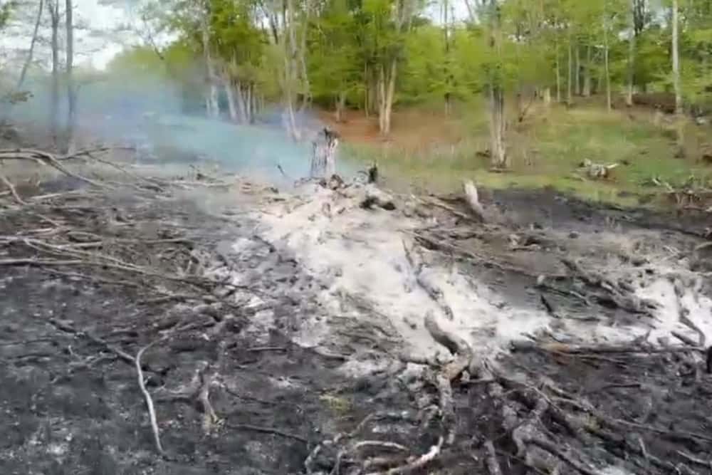 Incendiu în pădurea din comuna Starchiojd. Mobilizare pentru stingerea focului