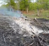 Incendiu în pădurea din comuna Starchiojd. Mobilizare pentru stingerea focului