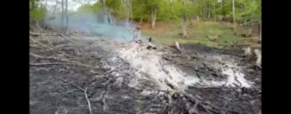 Incendiu în pădurea din comuna Starchiojd. Mobilizare pentru stingerea focului