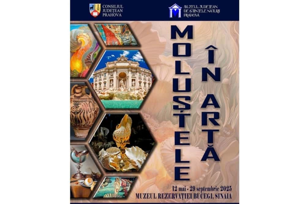 Mergeți în Sinaia? Vizitați și expoziția ”Moluștele în artă”, de la Muzeul Rezervației Bucegi, din Parcul Dimitrie Ghica