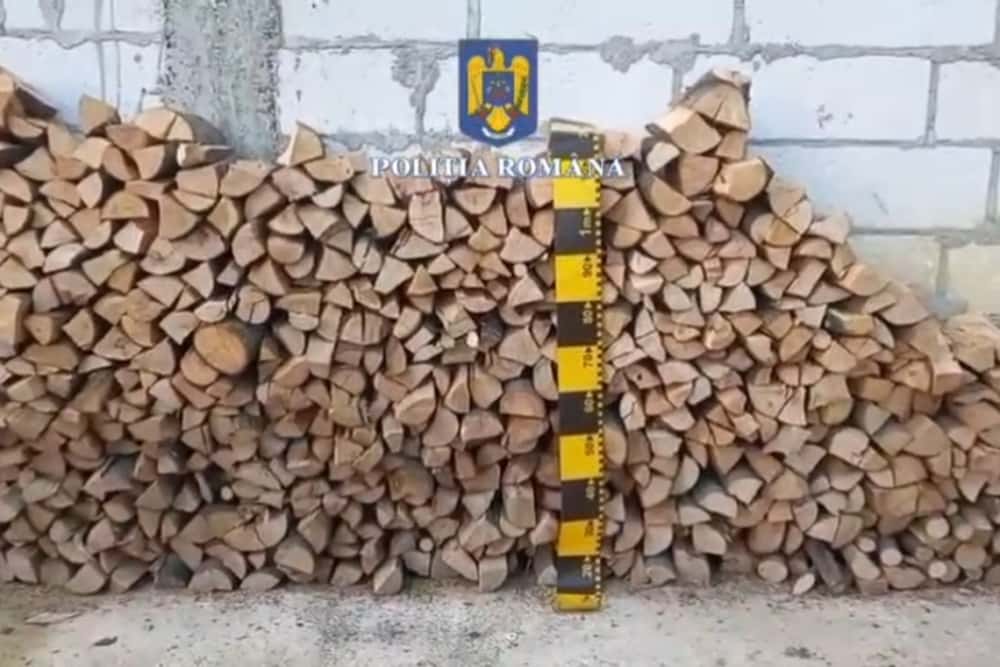 Zeci de dosare penale în Prahova, pentru infracțiuni silvice depistate în luna aprilie