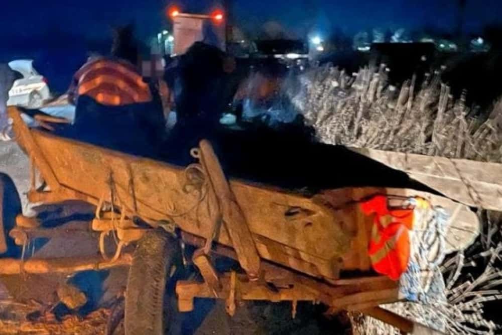 Doi tineri din comuna Berceni, reținuți după ce au furat un cal și o căruță