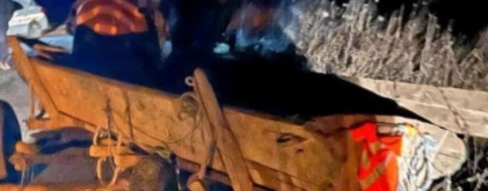 Doi tineri din comuna Berceni, reținuți după ce au furat un cal și o căruță