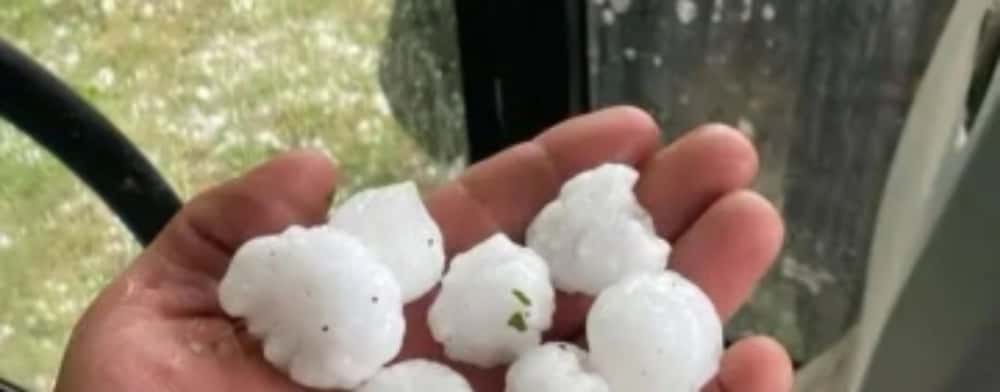 Grindina uriașă a făcut prăpăd în solariile din sudul Prahovei