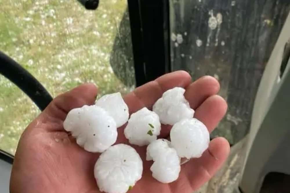 Ce spune Ministerul Agriculturii despre grindina cât mingea de ping-pong căzută în sudul Prahovei