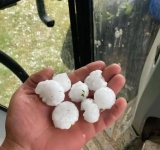 Ce spune Ministerul Agriculturii despre grindina cât mingea de ping-pong căzută în sudul Prahovei