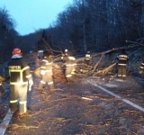 Pompierii prahoveni au intervenit, duminică, la inundații și arbori căzuți din cauza fenomenelor meteo