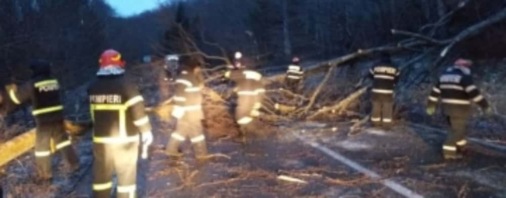 Pompierii prahoveni au intervenit, duminică, la inundații și arbori căzuți din cauza fenomenelor meteo