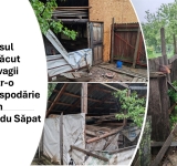 Un urs face ravagii în Vadu Săpat! Oamenii locului îi cer socoteală primarului!