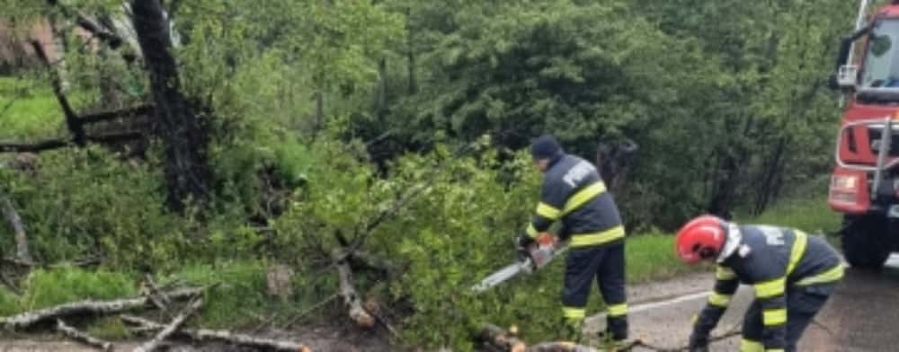 Arbore căzut pe DN1A, la Cheia. Pompierii au îndepărtat copacul de pe drum