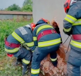 Salvatorii prahoveni participă la exerciții de căutare-salvare urbană, într-o clădire dezafectată. La pompieri, pregătirea continuă nu se face în stațiuni!
