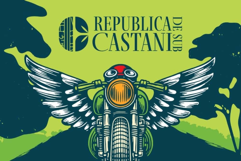 Cât (ne) costă artiștii care vor cânta în weekend, pe Bulevardul Castanilor. Polițeanu se plânge că e criză și diminuează bugetele instituțiilor de cultură, dar aruncă banii pe concerte rock!