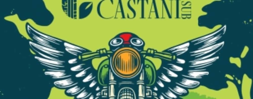 Cât (ne) costă artiștii care vor cânta în weekend, pe Bulevardul Castanilor. Polițeanu se plânge că e criză și diminuează bugetele instituțiilor de cultură, dar aruncă banii pe concerte rock!