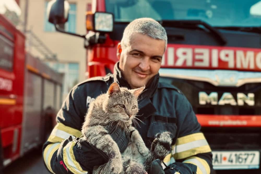 Un pisoi a fost salvat de pompierii ploieșteni după ce rămăsese blocat într-un gard metalic