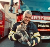 Un pisoi a fost salvat de pompierii ploieșteni după ce rămăsese blocat într-un gard metalic