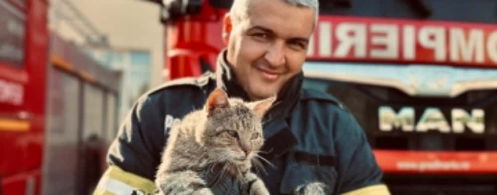 Un pisoi a fost salvat de pompierii ploieșteni după ce rămăsese blocat într-un gard metalic