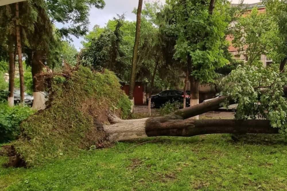 O vijelie puternică a făcut ravagii, duminică seară, în Târgu Mureș