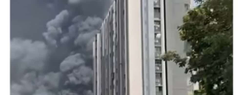 Tragedie de proporții: un avion cu 242 de persoane la bord s-a prăbușit