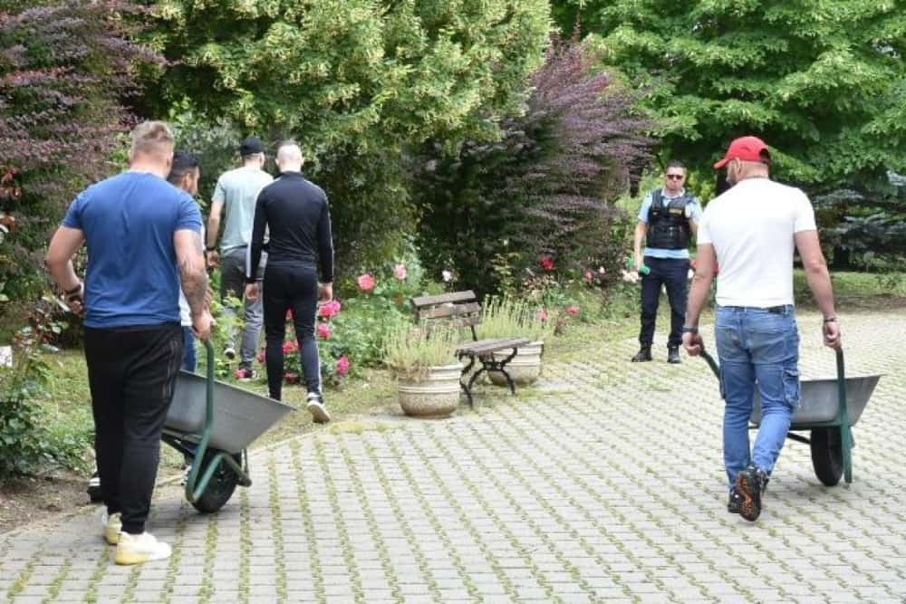 Nu găsiți muncitori necalificați? Penitenciarul Ploiești v-ar putea rezolva problema!