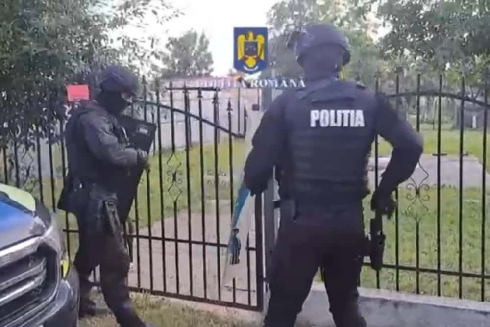 Percheziții în comuna Tinosu, la un bărbat care organiza lupte ilegale între câini | Video