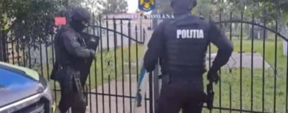 Percheziții în comuna Tinosu, la un bărbat care organiza lupte ilegale între câini | Video