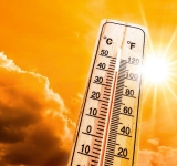 Primăria Ploiești promite apă și ajutor medical în zilele caniculare ce vor urma