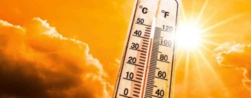 Primăria Ploiești promite apă și ajutor medical în zilele caniculare ce vor urma