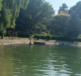 Scăldatul costă scump! Ce amenzi au primit tinerii care au fost prinși la scăldat în lacul de la Sala Sporturilor