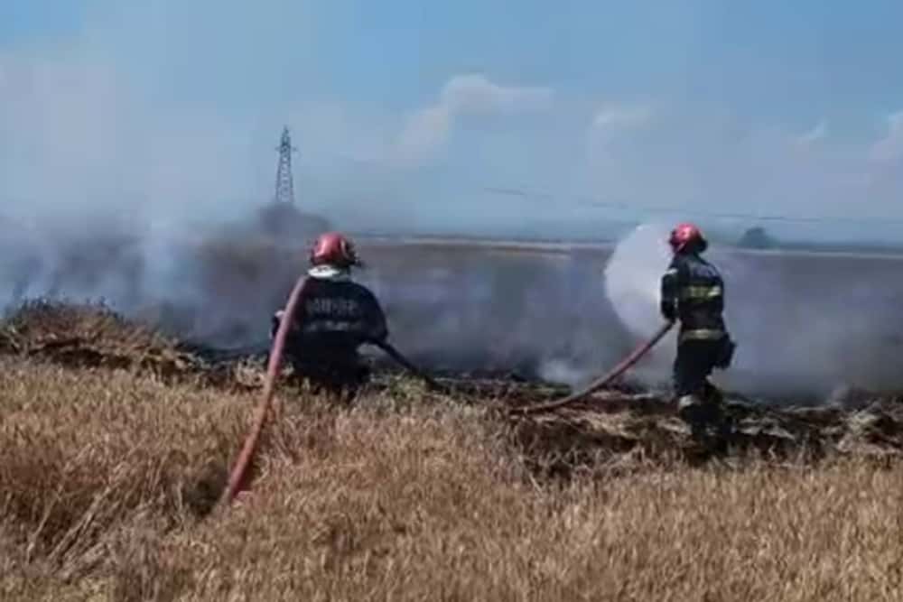 UPDATE/ Lanul de grâu de lângă Centura de Vest ar fi luat foc de la autoturismul cuprins de flăcări!