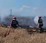 UPDATE/ Lanul de grâu de lângă Centura de Vest ar fi luat foc de la autoturismul cuprins de flăcări!
