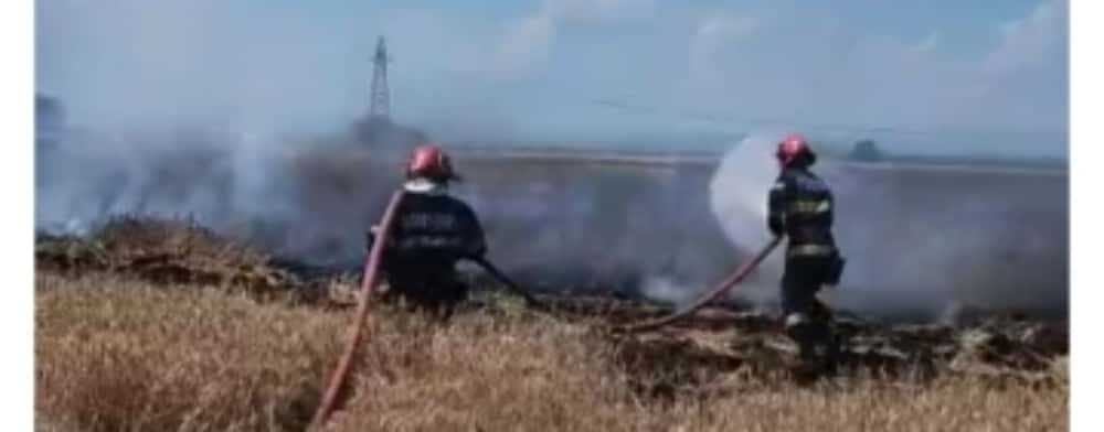 UPDATE/ Lanul de grâu de lângă Centura de Vest ar fi luat foc de la autoturismul cuprins de flăcări!