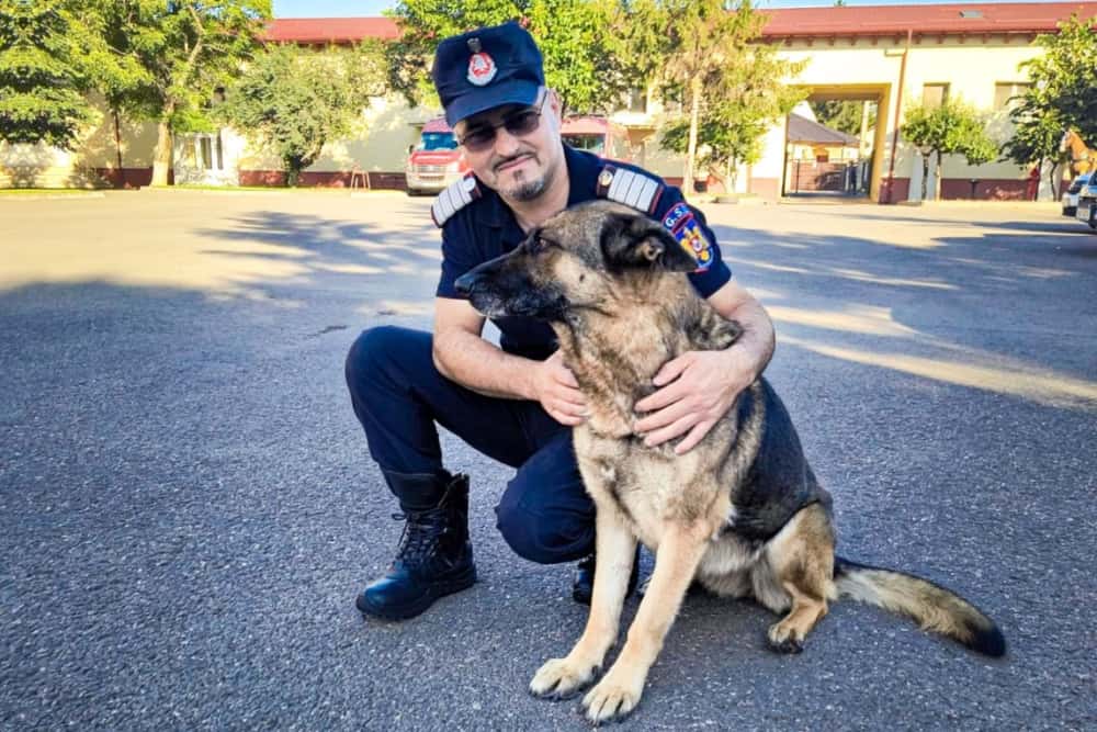 Final de carieră pentru cățelușa Bella, de la ISU Prahova