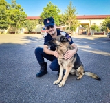 Final de carieră pentru cățelușa Bella, de la ISU Prahova