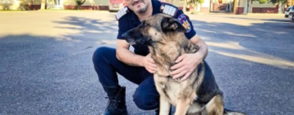 Final de carieră pentru cățelușa Bella, de la ISU Prahova