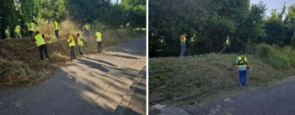 Deținuții din Penitenciarul Ploiești igienizează albia pârâului Dâmbu