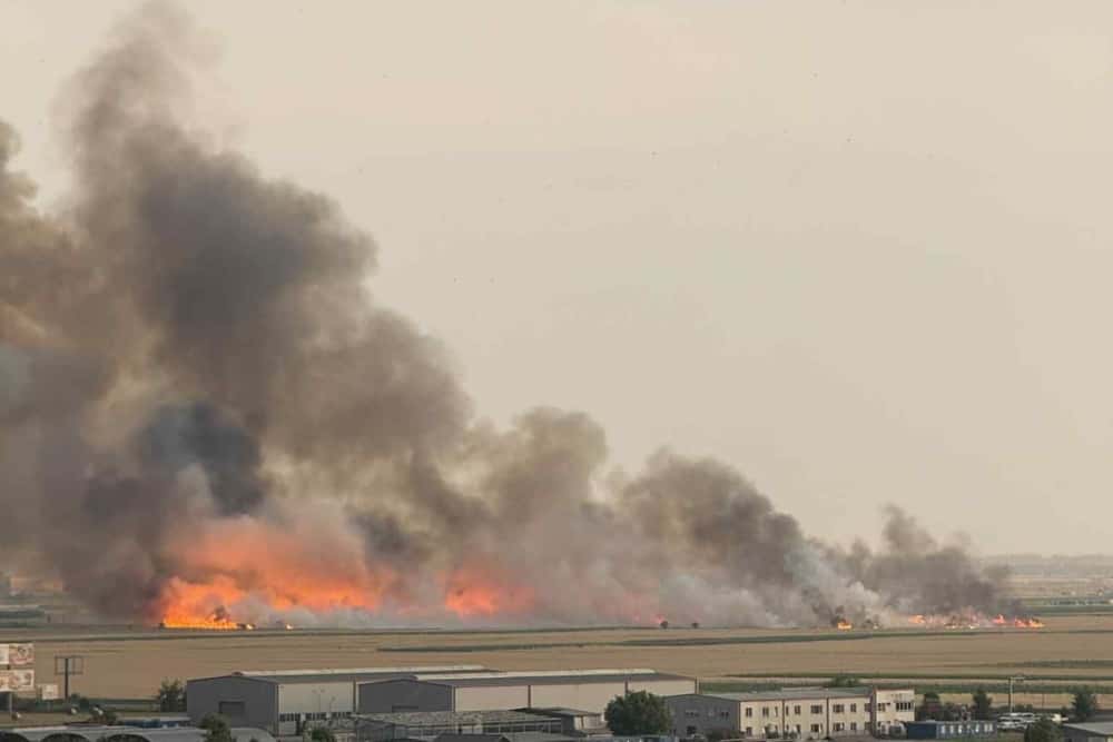 Incendiu într-un lan de grâu, la ieșire din Ploiești spre Strejnic