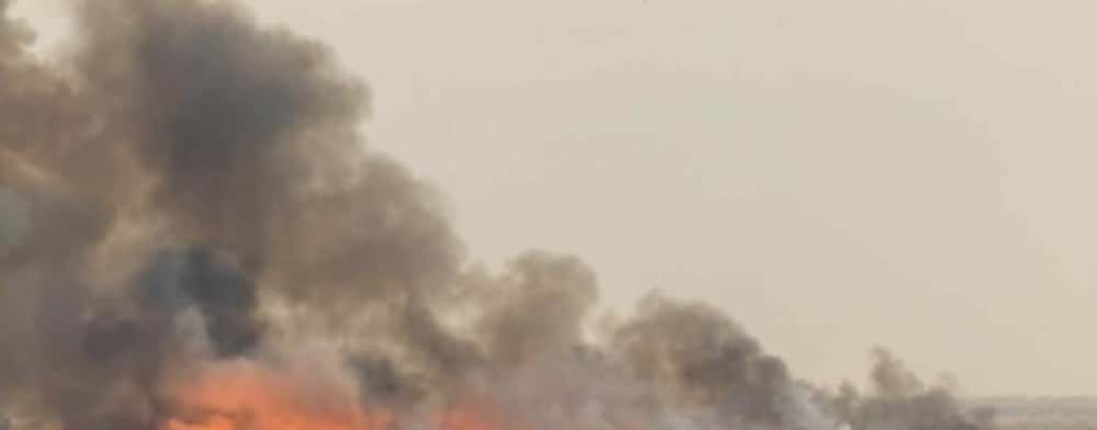 Incendiu într-un lan de grâu, la ieșire din Ploiești spre Strejnic