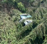 Un șofer a scăpat nevătămat după ce un copac a căzut peste autoturism, în timpul vijeliei din Sinaia