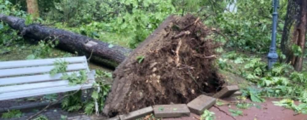 Parcul central din Sinaia rămâne închis până la rezolvarea problemelor generate de furtuna de miercuri