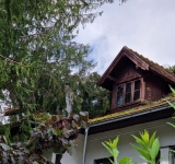 Peste Casa Memorială ”George Enescu” din Sinaia s-au prăbușit mai mulți brazi imenși, în timpul furtunii de miercuri