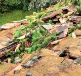 Și Ministerul Culturii evaluează pagubele produse de vijelie pe domeniul Peleș